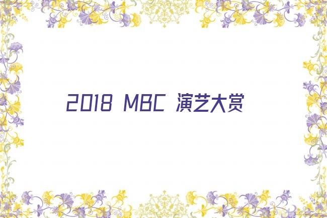 2018 MBC 演艺大赏剧照